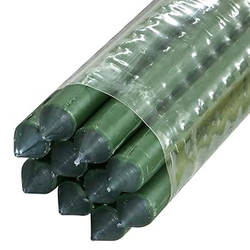 雪*ま様 イボ竹支柱 11mmx1200mm 雪*ま様 イボ竹支柱 11mmx1200mm 楽天市場】イボ竹 11 1200の通販